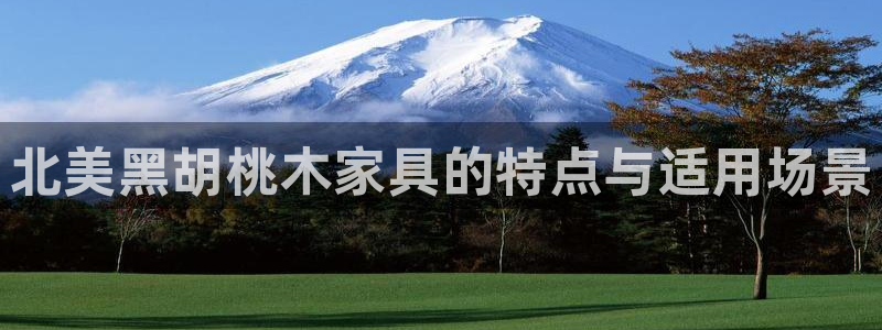 球盟会进不去球员吗