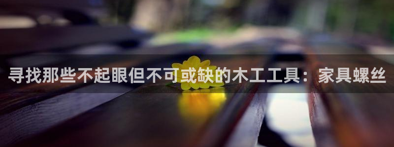 球盟会官方最新入口：寻找那些不起眼但不可或缺的木工工具：家具