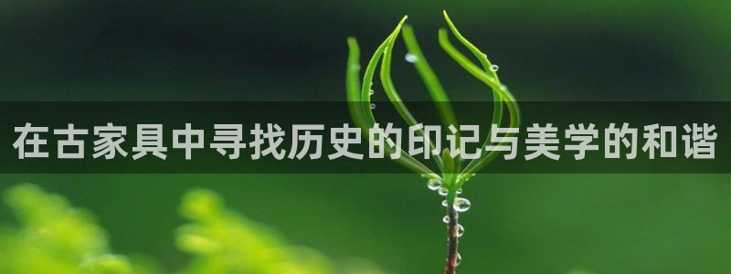球盟会可以提现么