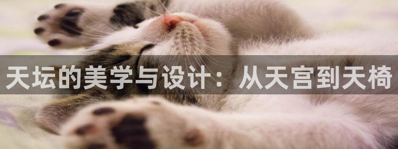 球盟会app最新地址下载