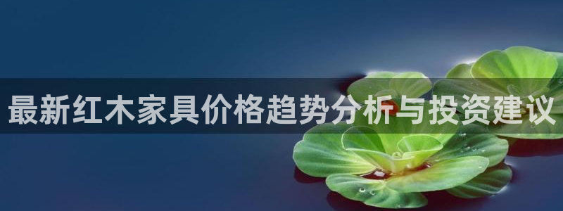 球盟会app网址多少