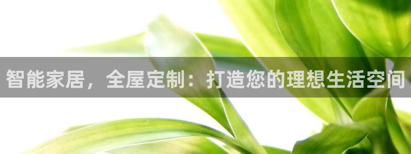 球盟会qm9