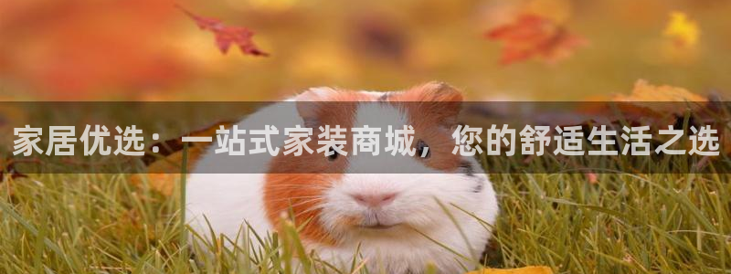 球盟会可靠不