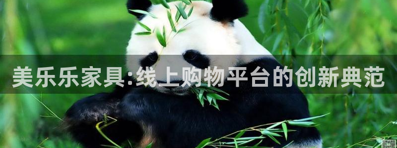 球盟会网页版