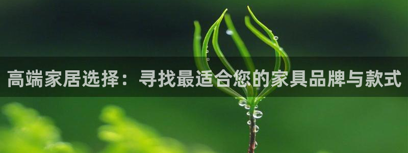 球盟会黑台