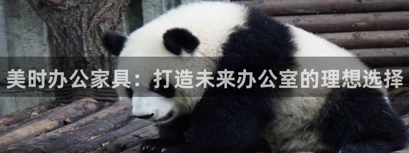 球盟会里面有打牌的嘛是真的吗