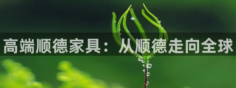 球盟会进不去球员吗：高端顺德家具：从顺德走向全球