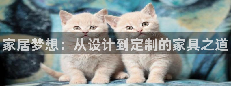 球盟会娱乐平台：家居梦想：从设计到定制的家具之道