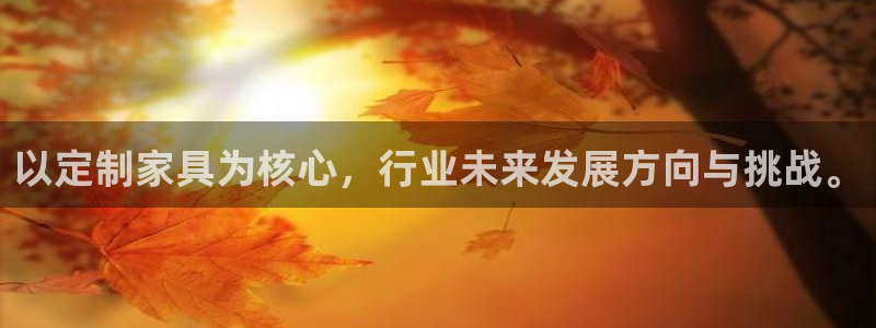 球盟会网页登录：以定制家具为核心，行业未来发展方向与挑战。