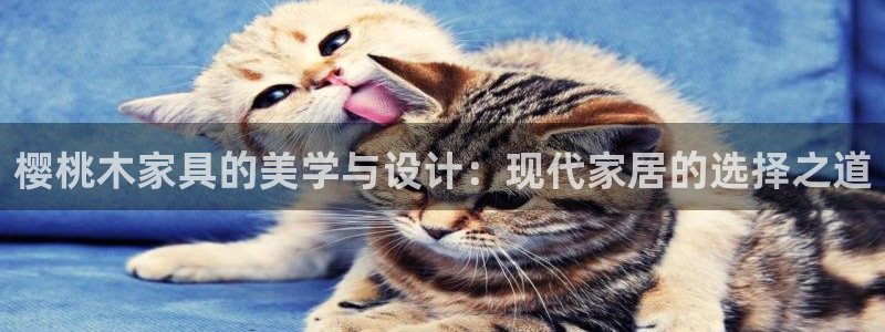 球盟会进不去吗